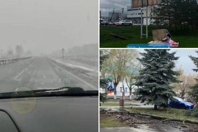 Непогода в Татарстане: ветер валит деревья и рекламные щиты