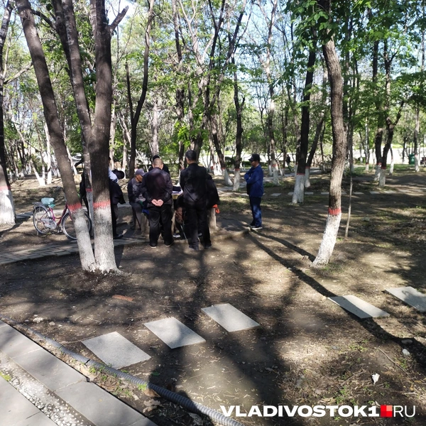 Источник: Екатерина Дымова / VLADIVOSTOK1.RU