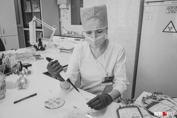 Источник: Тимофей Калмаков / 59.RU