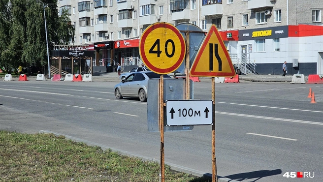 Источник: Дарья Никитченко / 45.RU