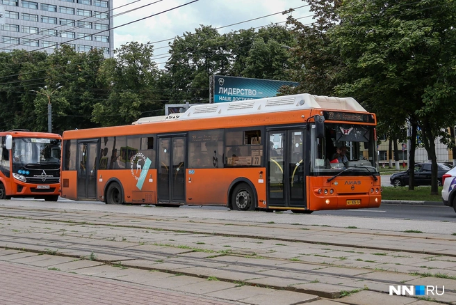 В ноябре в Нижнем введут запрет на оплату проезда в общественном транспорте наличными | Источник: Наталья Бурухина / NN.RU