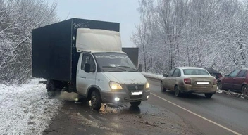 Источник: УМВД по Рязанской области