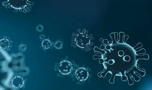 Ученые из Франции определили смертельную для коронавируса температуру
