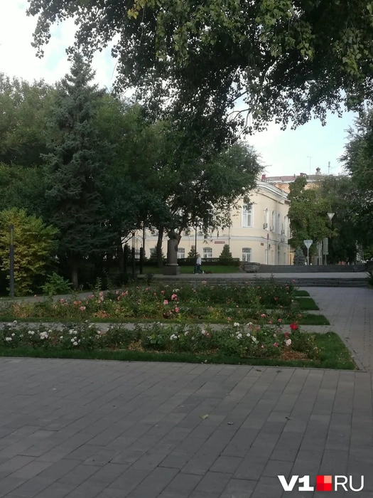 Сейчас от «Свободы передвижения» не осталось и следа | Источник: читатели V1.RU