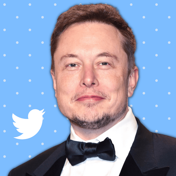Илон Маск официально стал руководителем Twitter