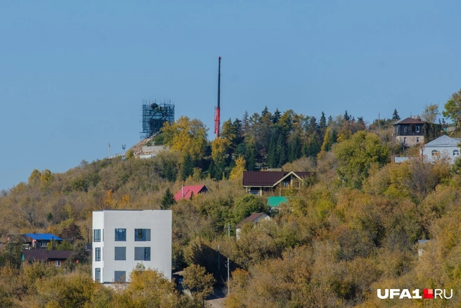 Салават ушел погулять | Источник: Булат Салихов / UFA1.RU