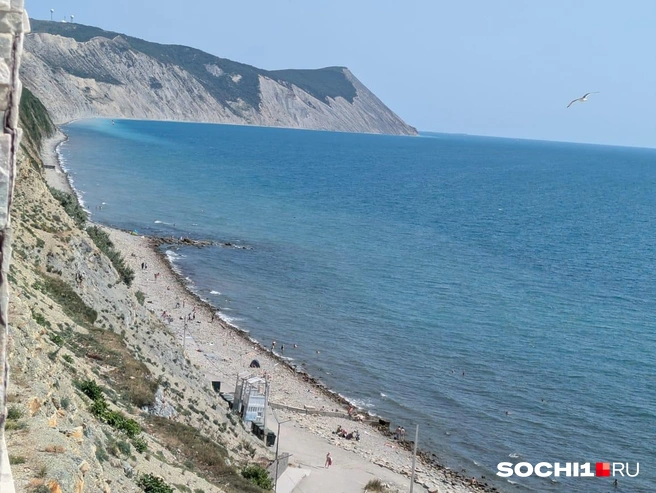 А два года назад здесь было сложно найти место для полотенца | Источник: Оксана Витязь / SOCHI1.RU