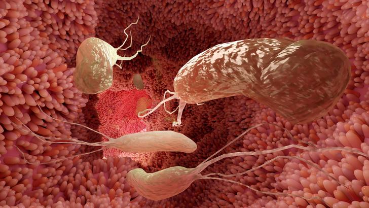 Бомба замедленного воспаления: кишечные микробы могут опасно эволюционировать и попадать в другие органы