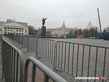 Источник: Алёна Воропаева / Voronezh1.ru