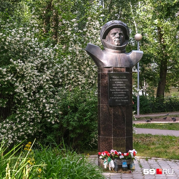 Цветы совсем свежие | Источник: Василина Любимова / 59.RU