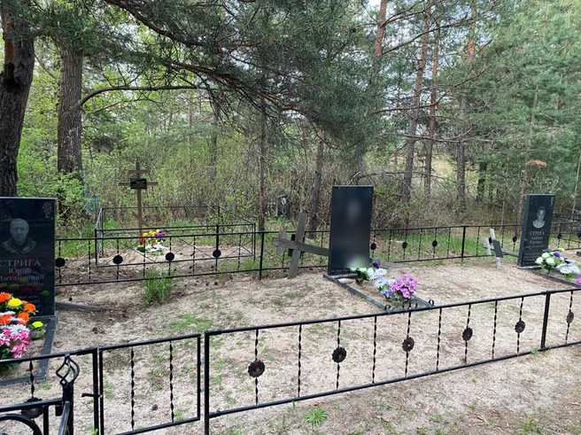 Еще одна семейная могила | Источник: Ирина Господаренко / NGS22.RU