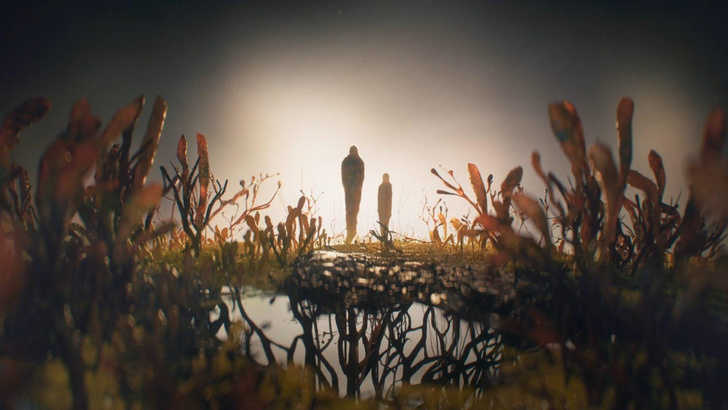 5 любопытных фактов о кордицепсе — хищном грибе из The Last of Us