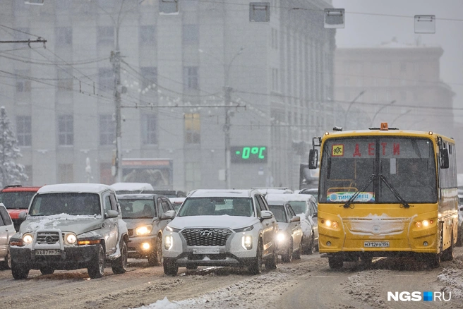 Источник: Александр Ощепков / NGS.RU