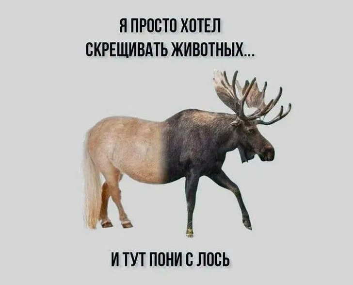 Источник: соцсети