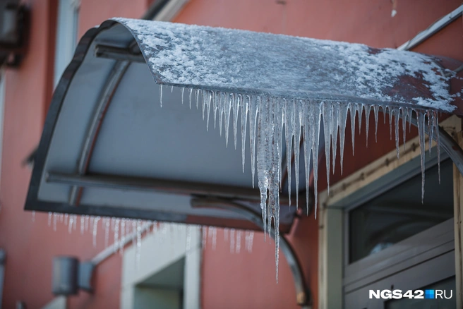 Источник: Максим Серков / NGS42.RU