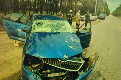 В Воронеже в ДТП пострадали двое младенцев и трое взрослых