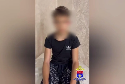 14-летнего школьника обвиняют в теракте после поджога в Ленобласти