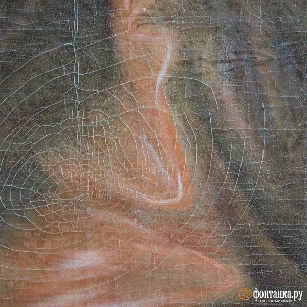 Источник: Михаил Огнев / «Фонтанка.ру»