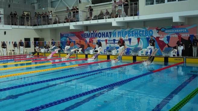 Осенний цикл соревнований проводится в 25-метровых бассейнах | Источник: Nso.ru