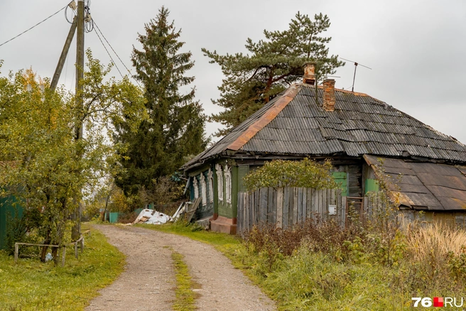В Ильино ощущается атмосфера деревни | Источник: Кирилл Поверинов / 76.RU