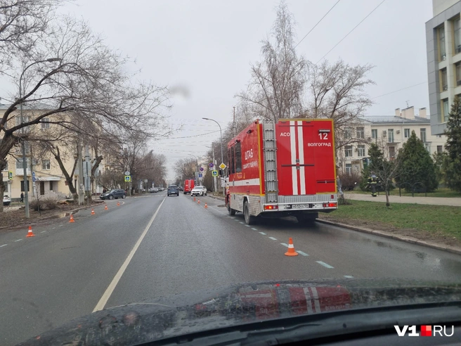 Происходящее на улице Мира удалось запечатлеть на фото | Источник: Константин Завриков / V1.RU