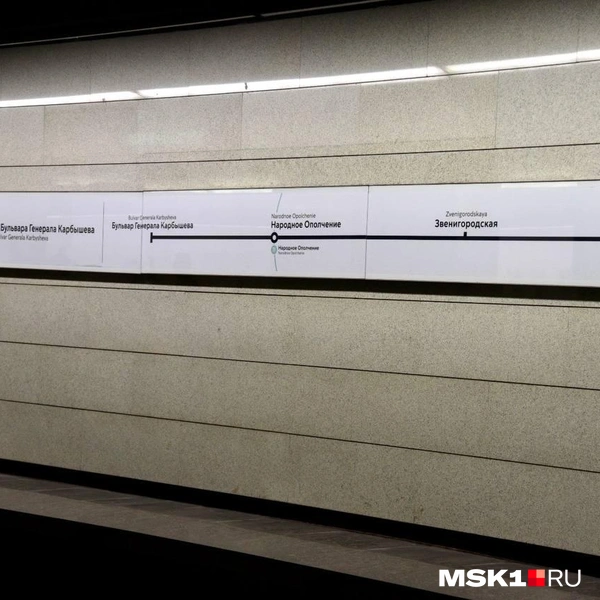 Источник: Дарья Шутова / MSK1.RU