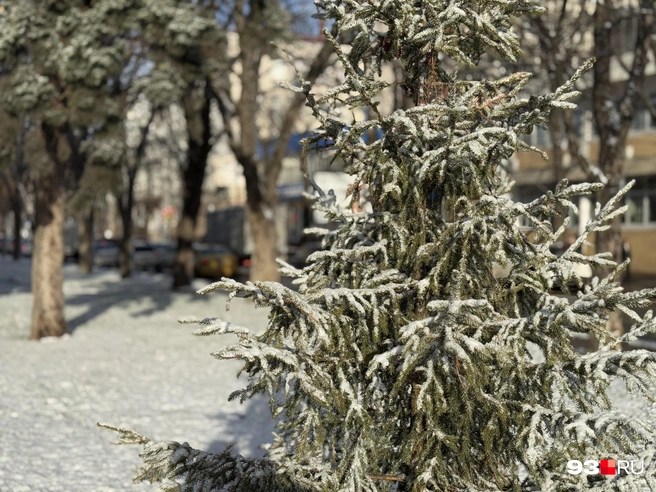 В Краснодаре уже всю неделю сильный гололед | Источник: Дарья Паращенко / 93.RU