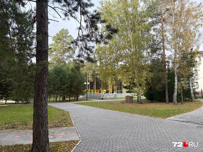 По всей территории благоустроенные дорожки  | Источник: Мария Токмакова / 72.RU
