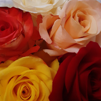 Аватарка Крамелька