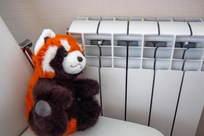 Heat cut on St. Petersburg's reclaimed land amid frost