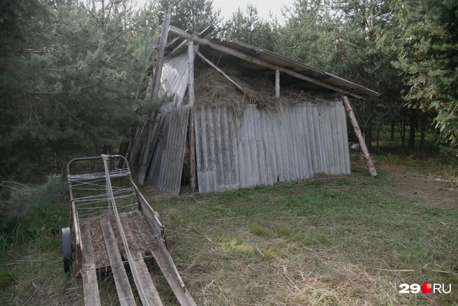 Источник: Иван Митюшёв