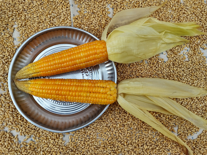Как заморозить кукурузу правильно: пролежит целый год