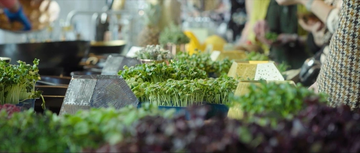 RHS Chelsea Flower Show 2019: сад будущего Тома Диксона и ИКЕА (фото 2)