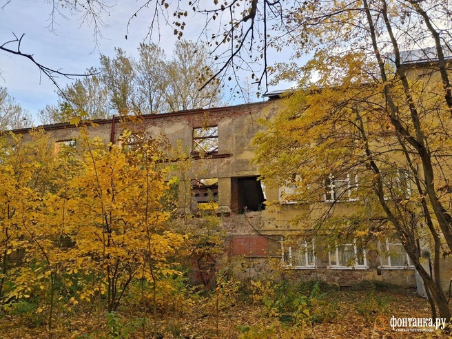 Источник: Анна Мотовилова / «Фонтанка.ру»