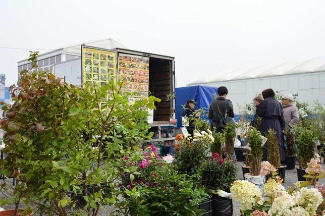 Добраться до выставочного комплекса в дни ярмарок можно на бесплатном автобусе | Источник: www.city-n.ru