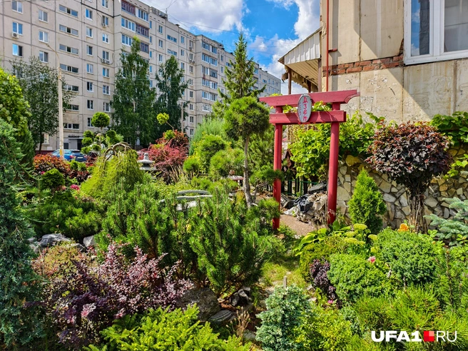 Уголок Японии в Уфе | Источник: Булат Салихов / UFA1.RU