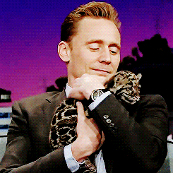 Том Хиддлстон с маленьким леопардом сделает твой день!