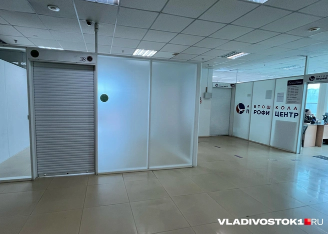 Источник: Елена Буйвол / VLADIVOSTOK1.RU