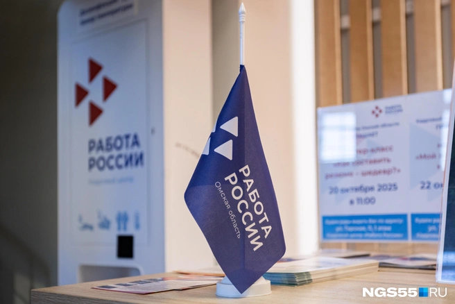 Люди остаются без работы по разным причинам | Источник: Кирилл Башинский / NGS55.RU