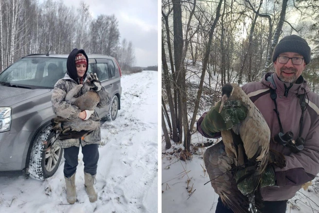 Татьяна Бульонкова и Олег Андреенков спасли журавля со сломанным крылом. Птицу пришлось везти в Барнаул — там она обрела новый дом | Источник: Олег Андреенков