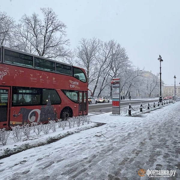 Источник: Мария Цыганкова / FONTANKA.RU