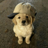userpic__polyakova.irina.95