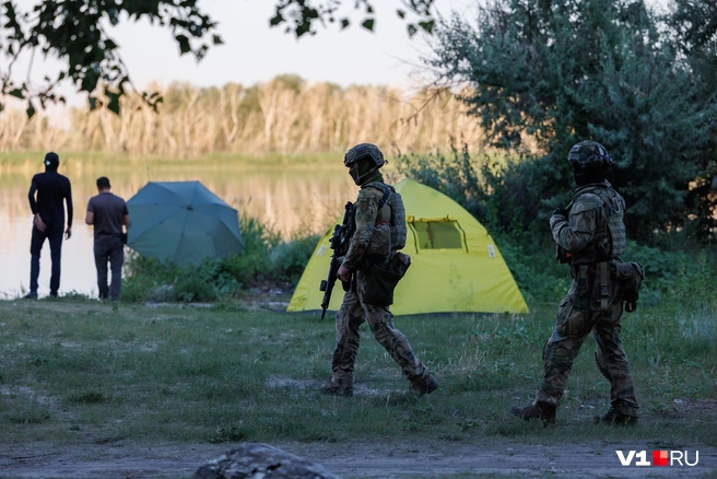 Паспорта всегда лучше брать с собой. Даже на природу | Источник: Алексей Волхонский / V1.RU