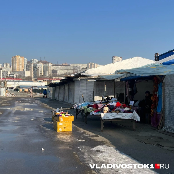 Источник: Елена Буйвол / VLADIVOSTOK1.RU