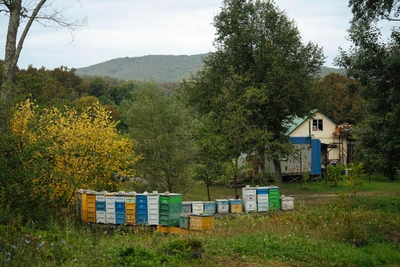 Life in Khrebtovoye near Krasnodar