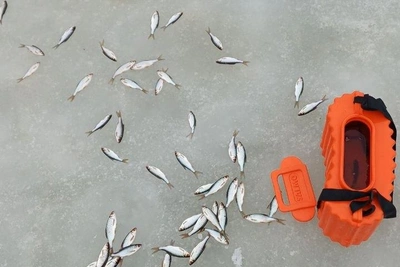 Самарец зарыбил озеро Леснуха и призвал к флешмобу «Поймал — отпусти»