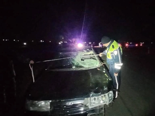 У Димы не было водительских прав | Источник: Госавтоинспекция Свердловской области