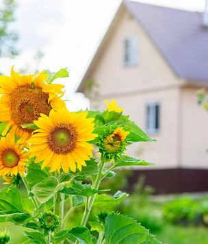 Создаем красивый дизайн участка своими руками