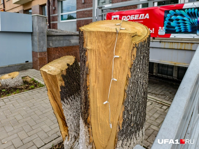 Гирлянда осталась висеть | Источник: Булат Салихов / UFA1.RU