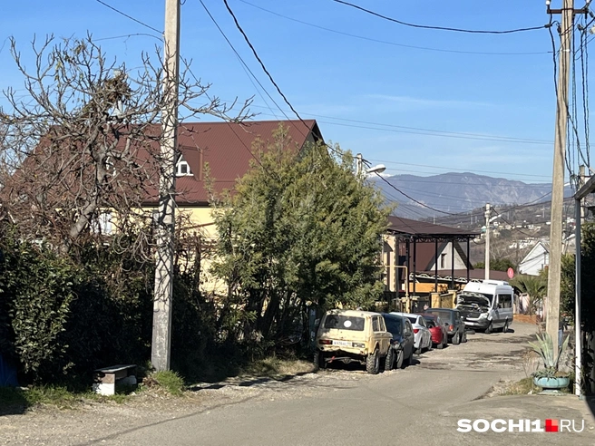 В Сочи 800 СНТ | Источник: Анна Грицевич / SOCHI1.RU